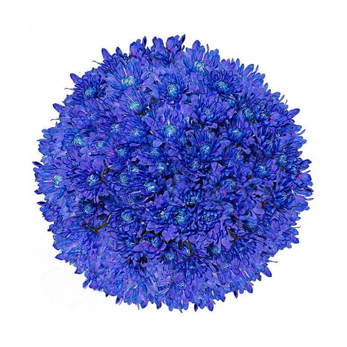 Pom Pom at Home Logan Big Pillow - Navy – Meadow Blu