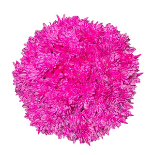 Hot Pink Tinted Pompom Cushion