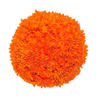 Orange Tinted Pompom Cushion