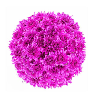 Pink Tinted Pompom Cushion