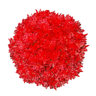 Red Tinted Pompom Cushion