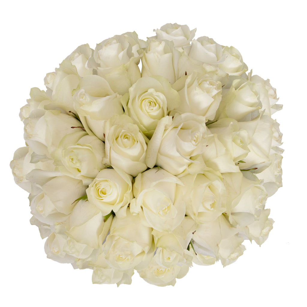 White Premium Roses | Premium Wholesale Flowers – Bloomingmore