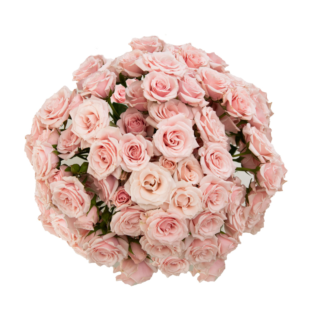 Light Pink Spray Roses – Bloomingmore