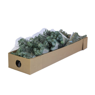 Baby Blue Eucalyptus Green flowers - fresh-cut flowers by Bloomingmore - ideal for weddings and floral events