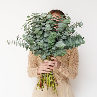 Baby Blue Eucalyptus Green flowers - fresh-cut flowers by Bloomingmore - ideal for weddings and floral events
