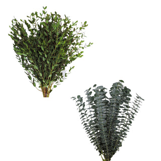 Baby Blue Eucalyptus & Parvifolia Combo Green flowers - fresh-cut flowers by Bloomingmore - ideal for weddings and floral events