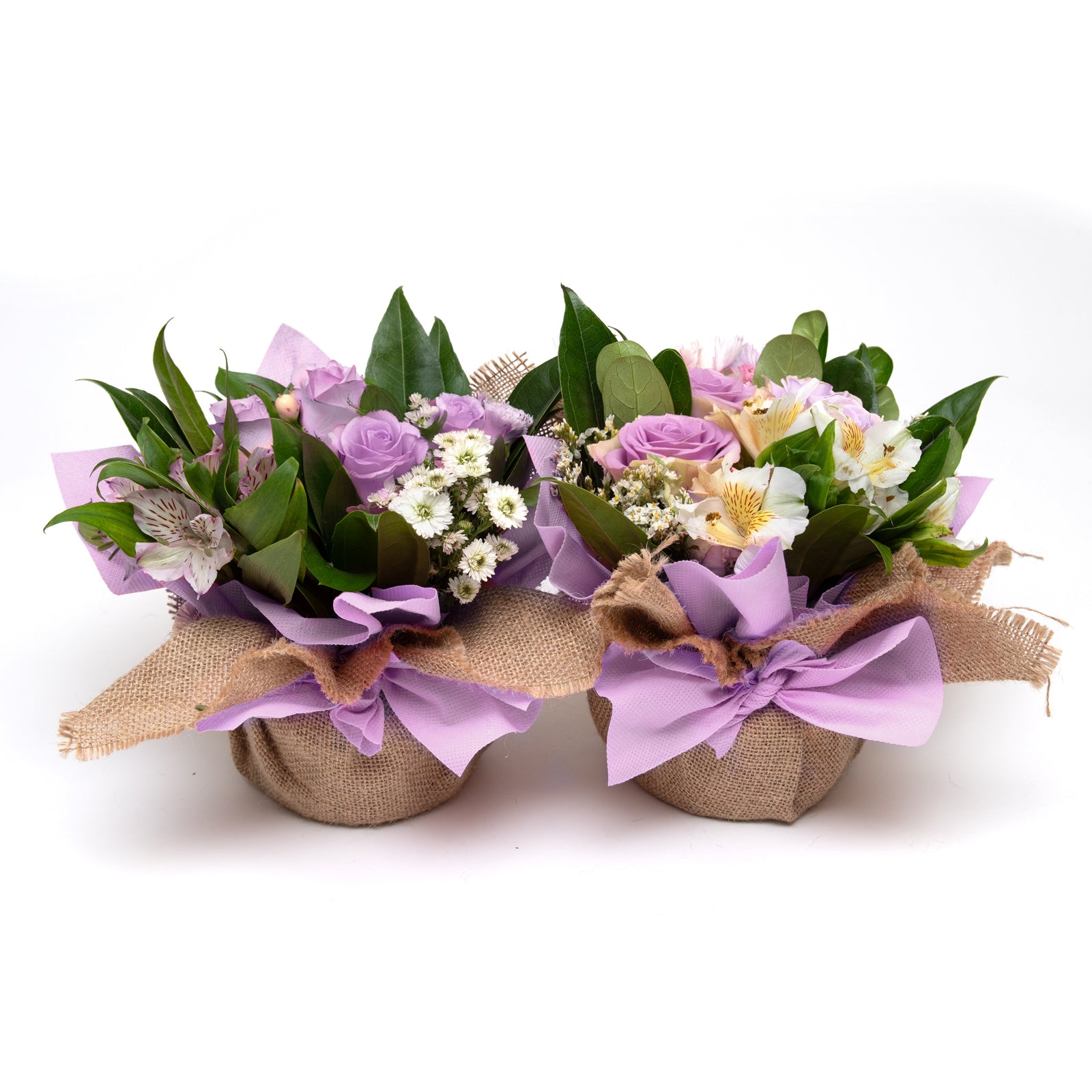 lavender plant gifts Bouqueto Lavender