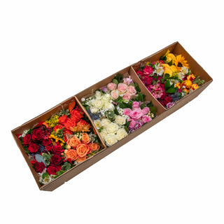 Bouqueto Red - pack 12 Red flowers - fresh-cut flowers by Bloomingmore - perfect for gifting or decoration