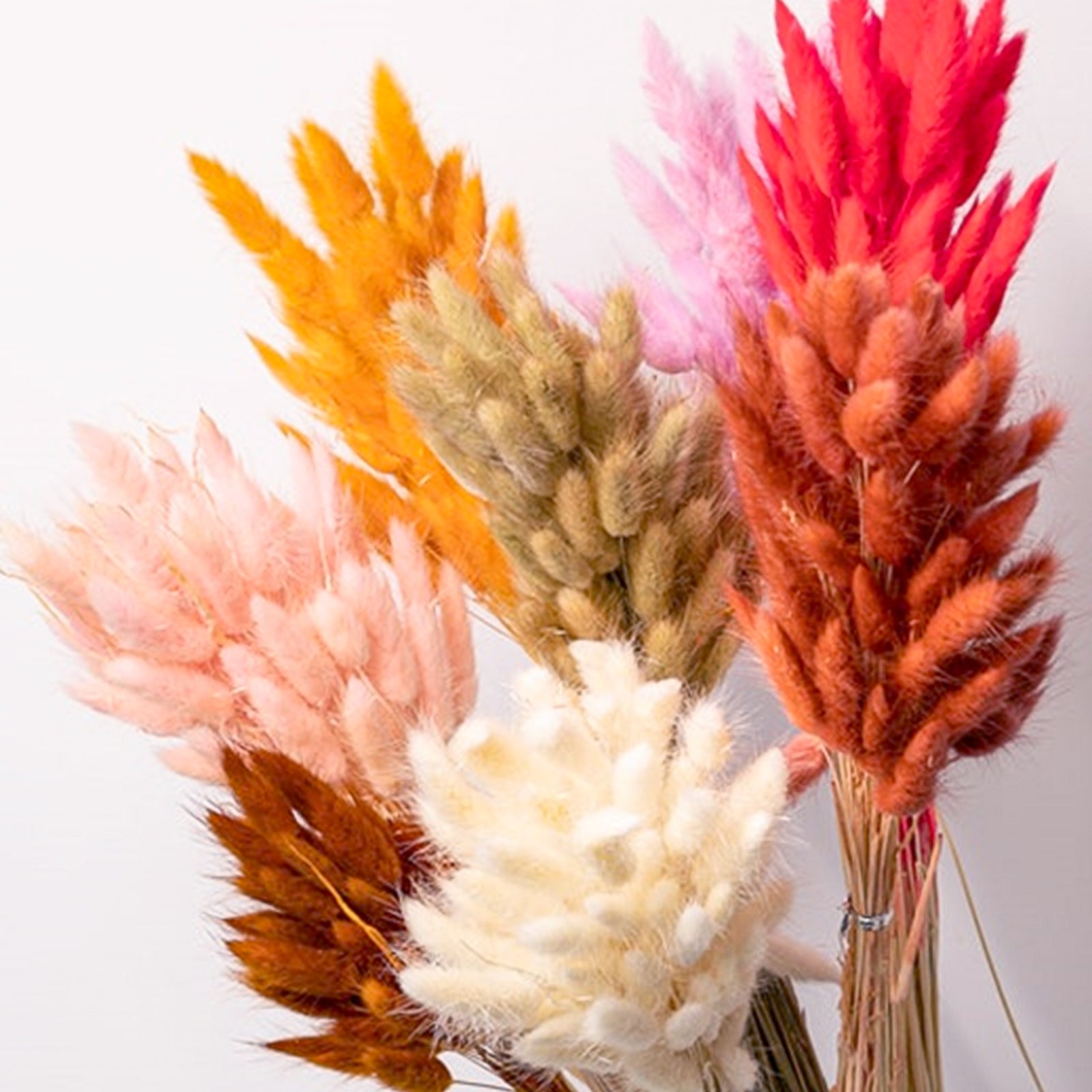 Bunny Tails Fall Assorted