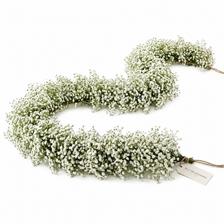 Gypsophila Garland