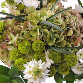 Classic Chic Flower Mixed Bouquet Classic flowers - fresh-cut flowers by Bloomingmore - ideal for weddings and floral events