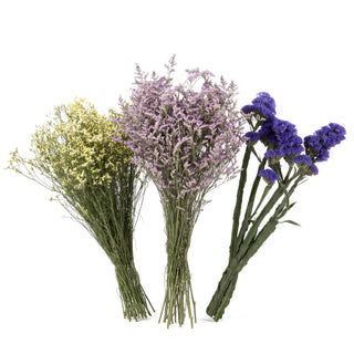 Three bundles of flowers on a plain white background: Limonium misty white, limonium misty blue, and statice purple