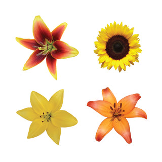 DIY Design Collection - Brightness -  140 Stems DIY flowers - fresh-cut flowers by Bloomingmore - ideal for weddings and floral events