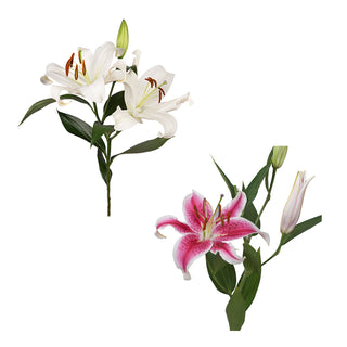 DIY Design Collection - Sweet Party - 80 Stems DIY flowers - fresh-cut flowers by Bloomingmore - ideal for weddings and floral events