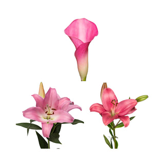 DIY Design Collection - Whimsical -  135 Stems DIY flowers - fresh-cut flowers by Bloomingmore - ideal for weddings and floral events