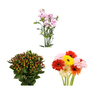 DIY Design Collection - Whimsical -  135 Stems DIY flowers - fresh-cut flowers by Bloomingmore - ideal for weddings and floral events