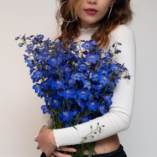 Delphinium Sea Waltz Green flowers - fresh-cut flowers by Bloomingmore - ideal for weddings and floral events