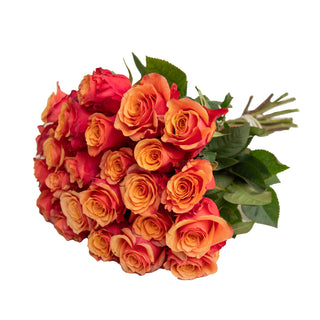 España Roses Orange roses - fresh-cut roses by Bloomingmore - ideal for weddings and floral events