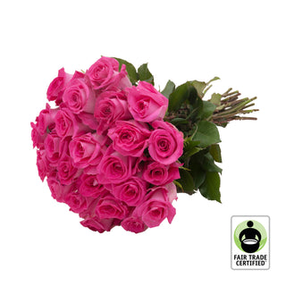 Fair Trade Natural Hot Pink Roses - Choose from  25 to 100 Stems Pink roses - fresh-cut roses by Bloomingmore - ideal for weddings and floral events