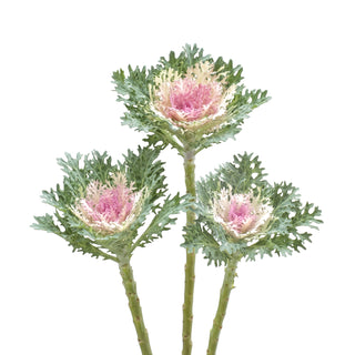 Feather_King_White_Kale_cream_pink