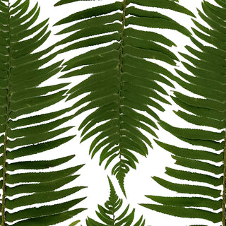 Flat Fern - 150 Stems Green flowers - fresh-cut flowers by Bloomingmore - ideal for weddings and floral events