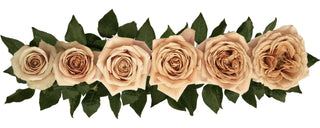 Garden Roses - Golden Mustard Bloomingmore C