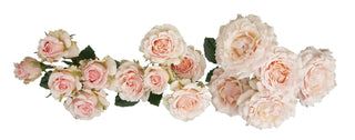 Garden Roses - Wedding Rosever Spray Bloomingmore C