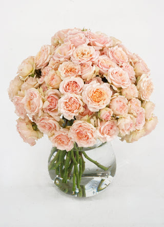 Garden Roses - Wedding Rosever Spray Bloomingmore E