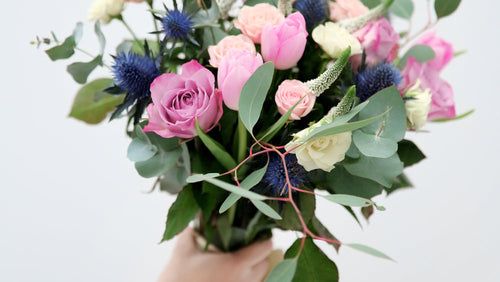 A close-up of a hand holding a vibrant floral bouquet featuring pink roses, light pink tulips, blue thistles, cream roses, and green eucalyptus leaves against a clean white background.