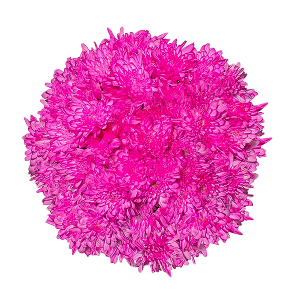 Hot Pink Tinted Pompom Cushion – Bloomingmore