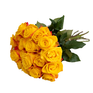 Intense Roses Yellow roses - fresh-cut roses by Bloomingmore - ideal for weddings and floral events