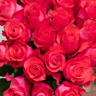 Jet Set Roses Pink roses - fresh-cut roses by Bloomingmore - ideal for weddings and floral events