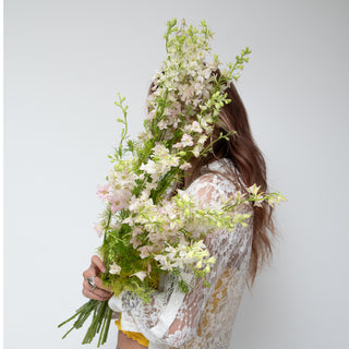 Larkspur pink - 120 Stems Pink flowers - fresh-cut flowers by Bloomingmore - ideal for weddings and floral events