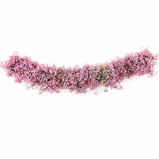 gypsophila Garland