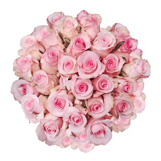 Light Pink Roses - Choose from 25 to 200 Stems Pink roses - fresh-cut roses by Bloomingmore - ideal for weddings and floral events
