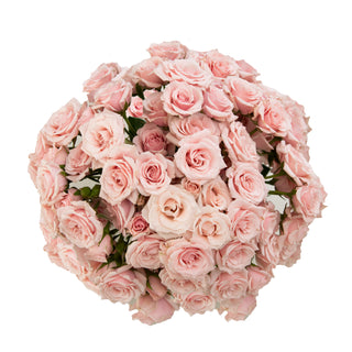 Light Pink Spray Roses Yellow roses - fresh-cut roses by Bloomingmore - ideal for weddings and floral events