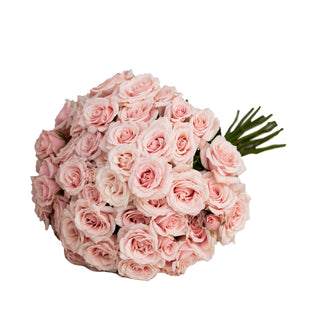 Light Pink Spray Roses Yellow roses - fresh-cut roses by Bloomingmore - ideal for weddings and floral events