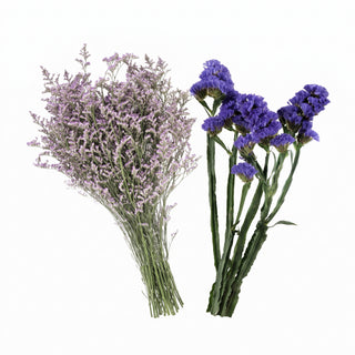 Two flower bouquets on a white background, one with light lavender-purple limonium flowers and the other with deep purple statice flowers, both with green stems.