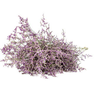 A loose bundle of limonium misty blue flowers with delicate purple blooms and fine green stems, photographed on a plain white background.