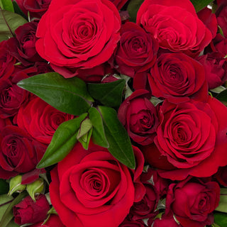 Luxe Blossom Bouquet - Red Red flowers - fresh-cut flowers by Bloomingmore - ideal for weddings and floral events