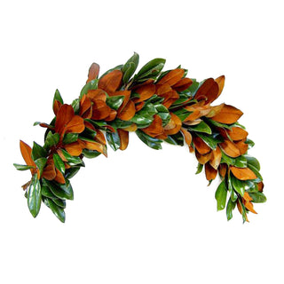 Magnolia Swag Green flowers - fresh-cut flowers by Bloomingmore - perfect for gifting or decoration