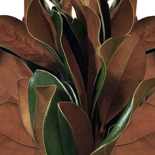 Magnolia Tips Green flowers - fresh-cut flowers by Bloomingmore - ideal for weddings and floral events