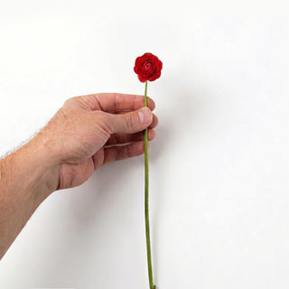 Red Mini Ranunculus