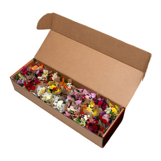 Mini Bouqueto Orange - pack 20 Orange flowers - fresh-cut flowers by Bloomingmore - perfect for gifting or decoration