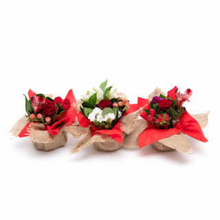 Mini Bouqueto Red - pack 20 Red flowers - fresh-cut flowers by Bloomingmore - perfect for gifting or decoration