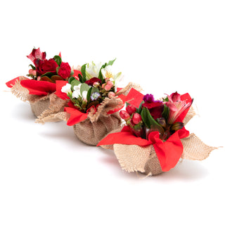 Mini Bouqueto Red - pack 20 Red flowers - fresh-cut flowers by Bloomingmore - perfect for gifting or decoration