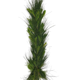 Mixed Pine Garland