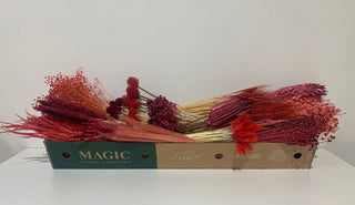 Monochromatic Box Red Red flowers - fresh-cut flowers by Bloomingmore - ideal for weddings and floral events