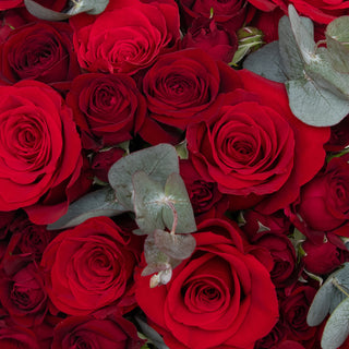 Opulent Blossom Bouquet - Red Red flowers - fresh-cut flowers by Bloomingmore - ideal for weddings and floral events