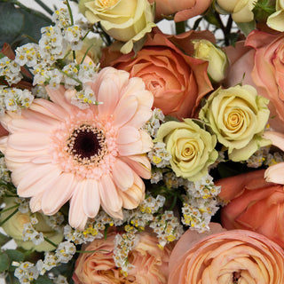Peach Serenade Bouquet Peach flowers - fresh-cut flowers by Bloomingmore - perfect for gifting or decoration